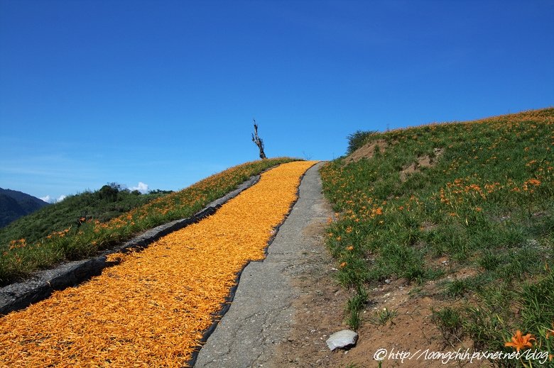 hualien_trip_207.jpg