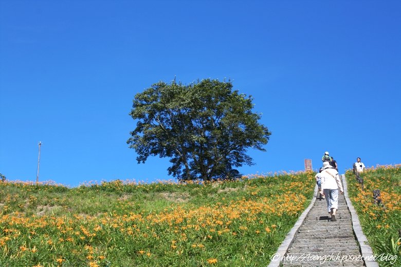 hualien_trip_211.jpg