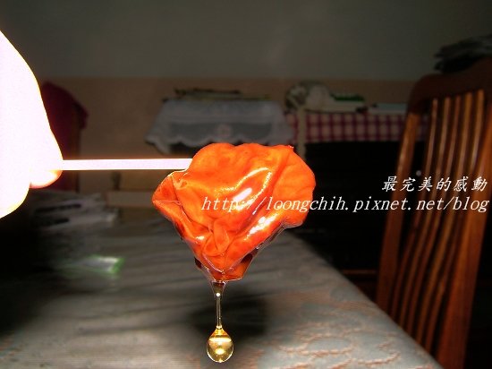 ume054.jpg