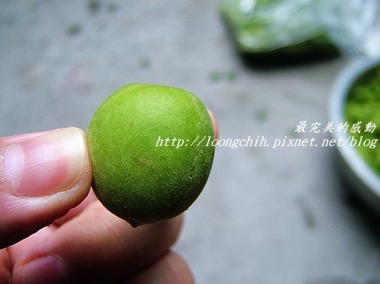 ume001.jpg