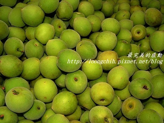 ume002.jpg
