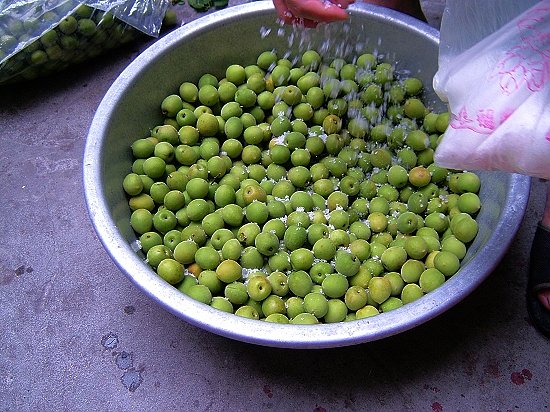 ume004.jpg