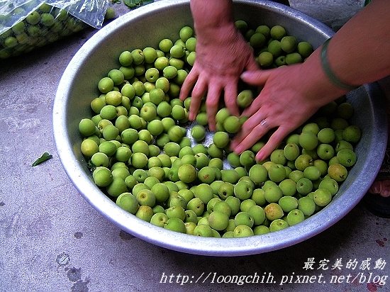 ume006.jpg