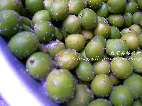 ume007.jpg