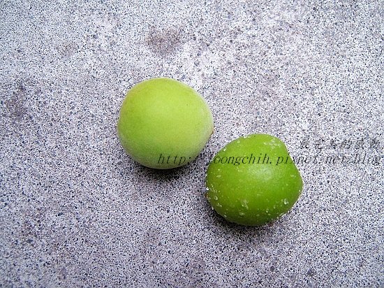 ume008.jpg