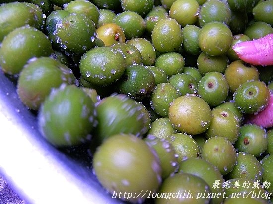 ume010.jpg