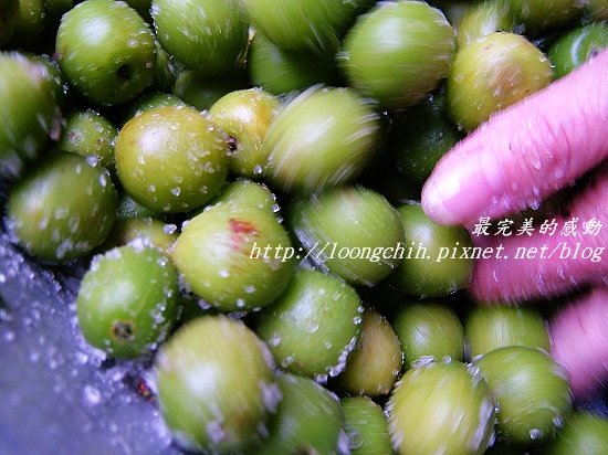 ume012.jpg