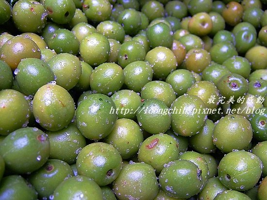 ume015.jpg