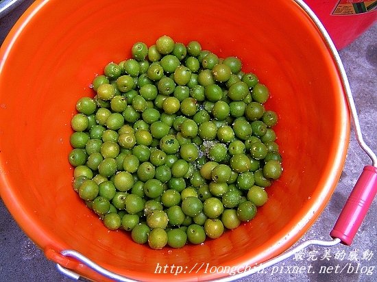 ume019.jpg