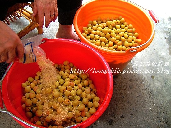 ume027.jpg