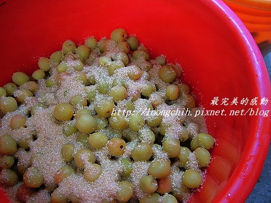 ume028.jpg