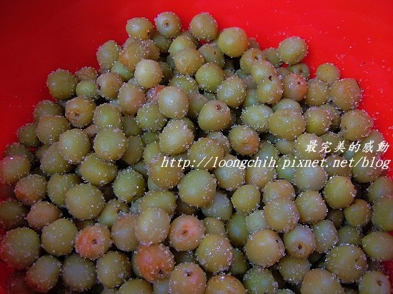 ume030.jpg