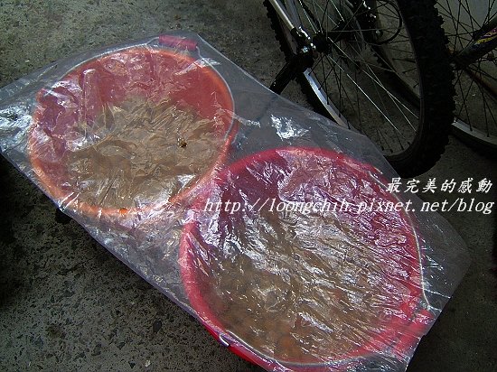 ume033.jpg