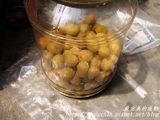 ume045.jpg