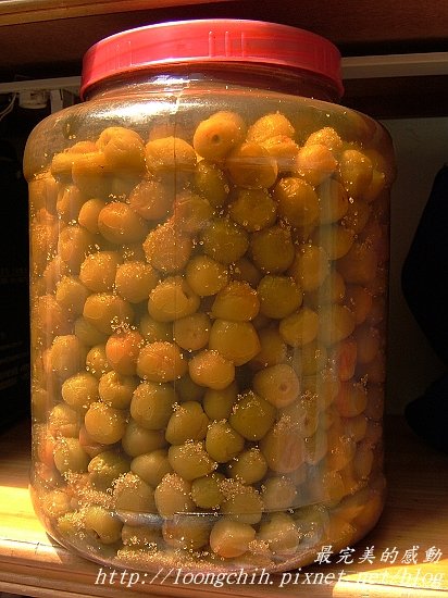 ume051a.jpg