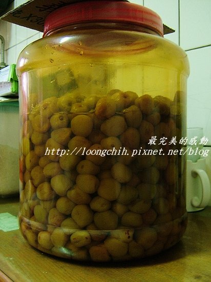 ume051b.jpg