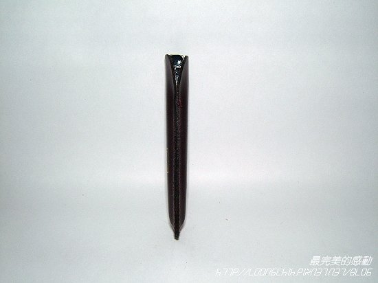 zj003.jpg