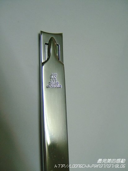 zj007.jpg