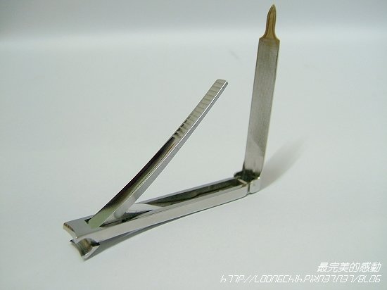 zj009.jpg