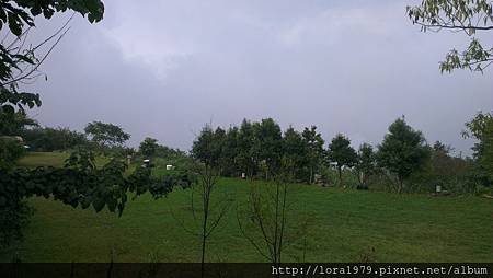 IMAG2431[1]