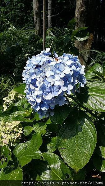 20160716_132539.jpg