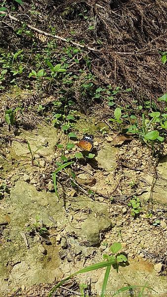 20160716_132731.jpg
