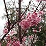 20170225_110749.jpg