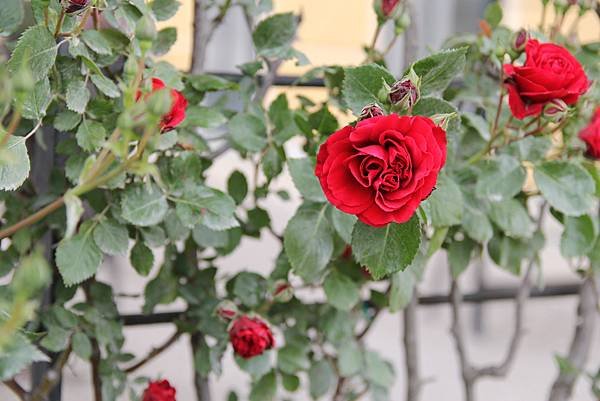 IMG_0900.JPG