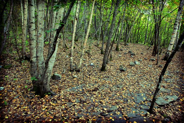 jiuzhaigou9.JPG