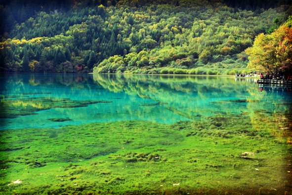 jiuzhaigou5.JPG