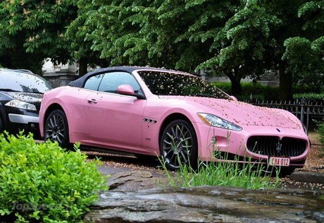 how-about-a-pink-mas_460x0w.jpg
