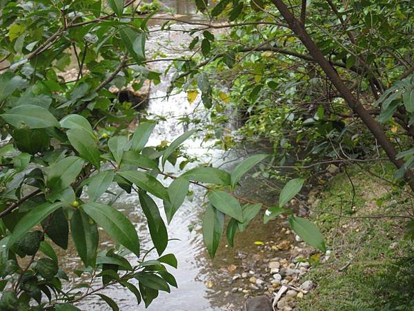 IMG_3605.JPG