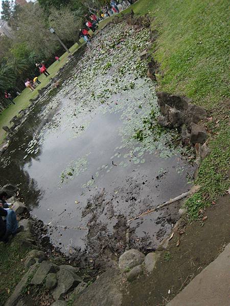 IMG_3617.JPG