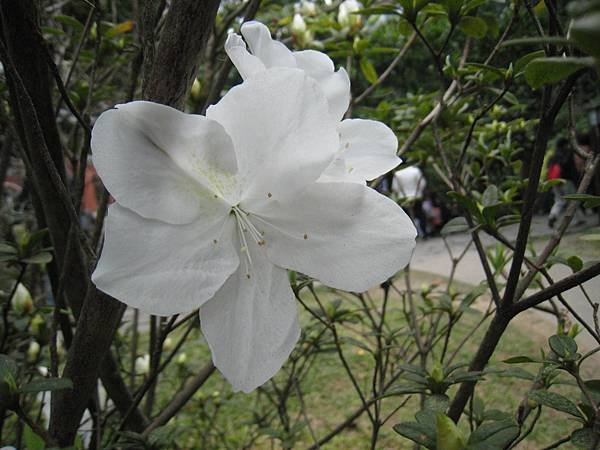 IMG_3622.JPG