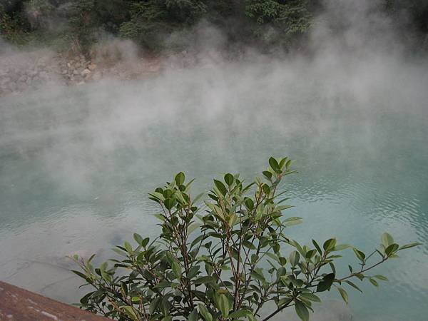 IMG_3628.JPG