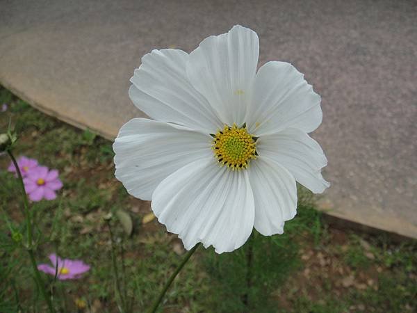 DSC09167.JPG