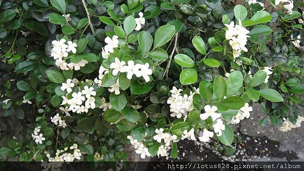 DSC00125.JPG