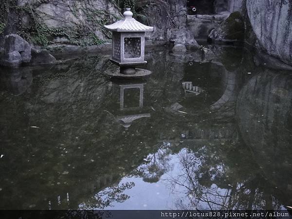 DSC02706.JPG