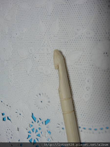 DSC03246.JPG