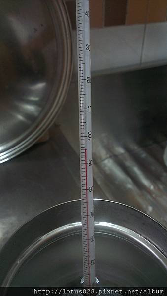 IMAG0404.jpg