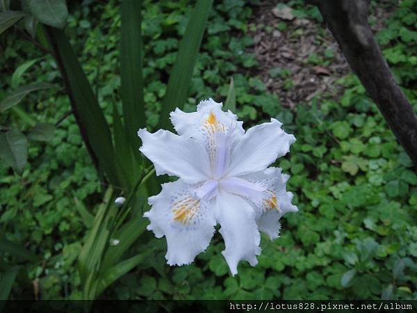 DSC03300.JPG
