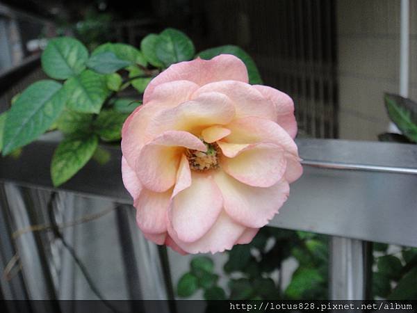 DSC03336.JPG