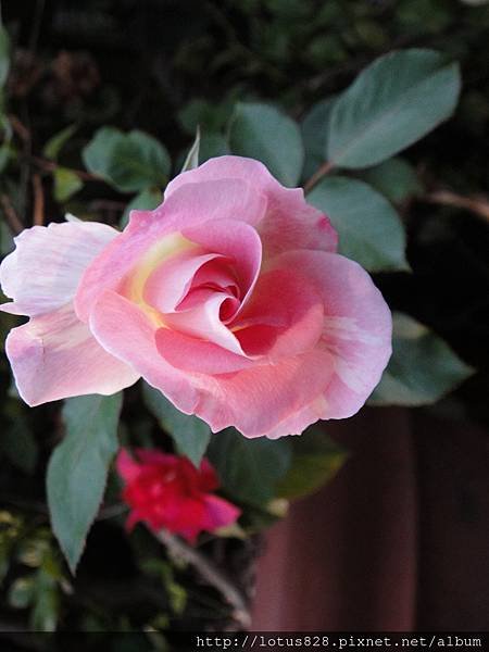 DSC03345.JPG