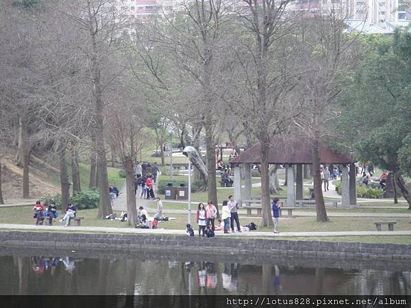 DSC03416.JPG