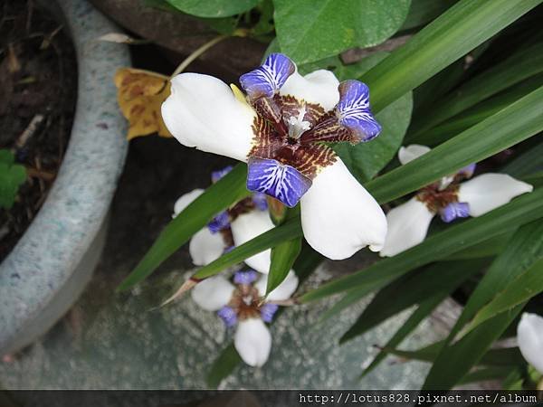 DSC04000.JPG