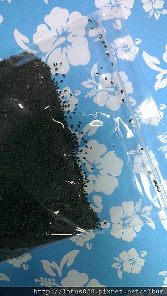 IMAG0714.jpg