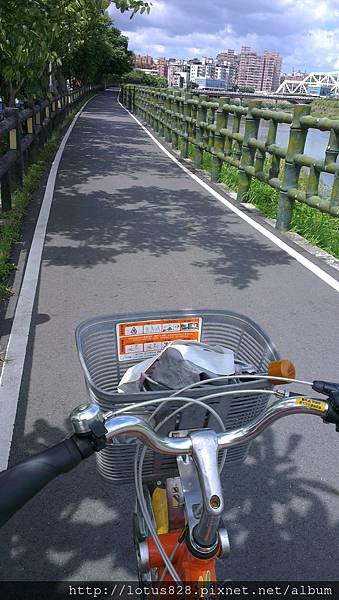 IMAG0772.jpg