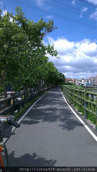 IMAG0775.jpg
