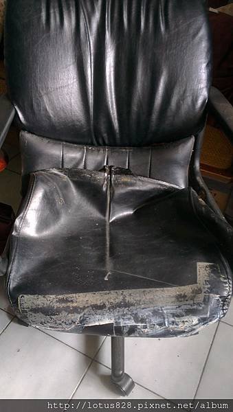 IMAG1346.jpg