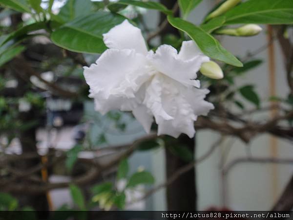 DSC07114.JPG